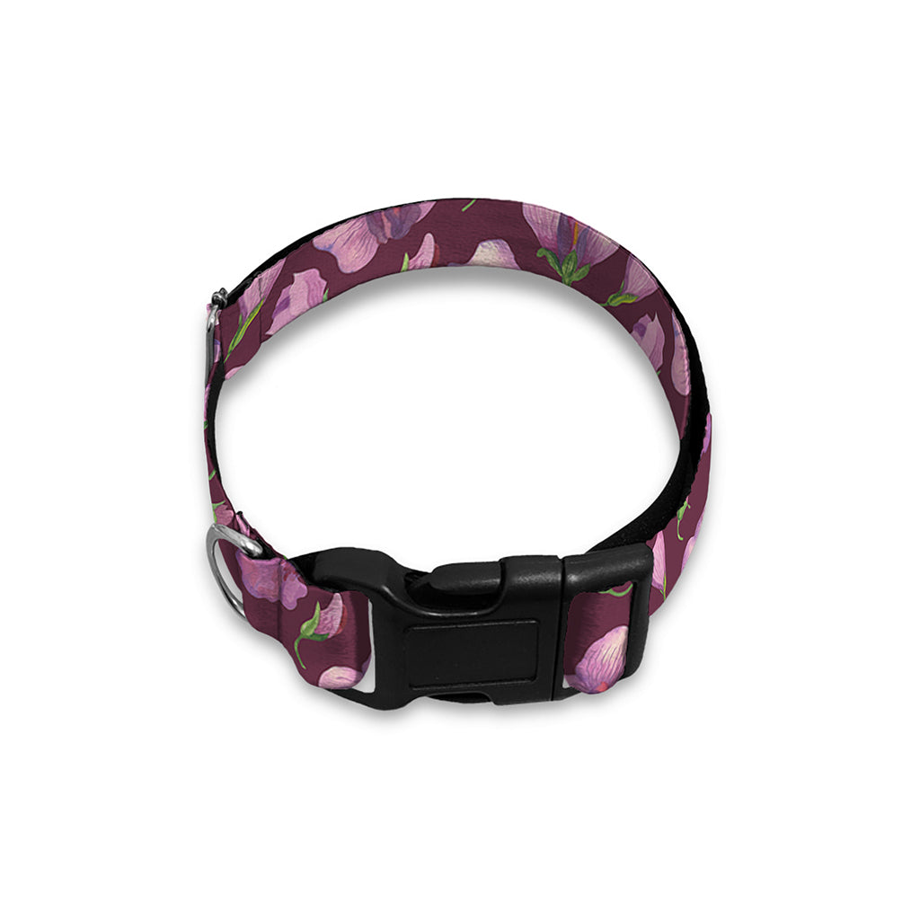 Watercolor Sweet Pea Pattern Print Dog Collar