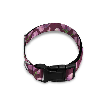 Watercolor Sweet Pea Pattern Print Dog Collar