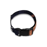 Watercolor Taurus Zodiac Sign Print Dog Collar