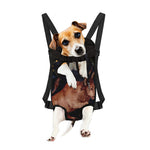 Watercolor Taurus Zodiac Sign Print Pet Carrier Backpack