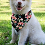 Watercolor Tropical Lily Pattern Print Over The Collar Dog Bandana