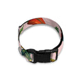 Watercolor Vegan Pattern Print Dog Collar