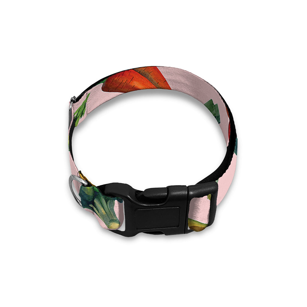 Watercolor Vegan Pattern Print Dog Collar