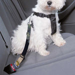 Watercolor Virgo Zodiac Sign Print Dog Seat Belt