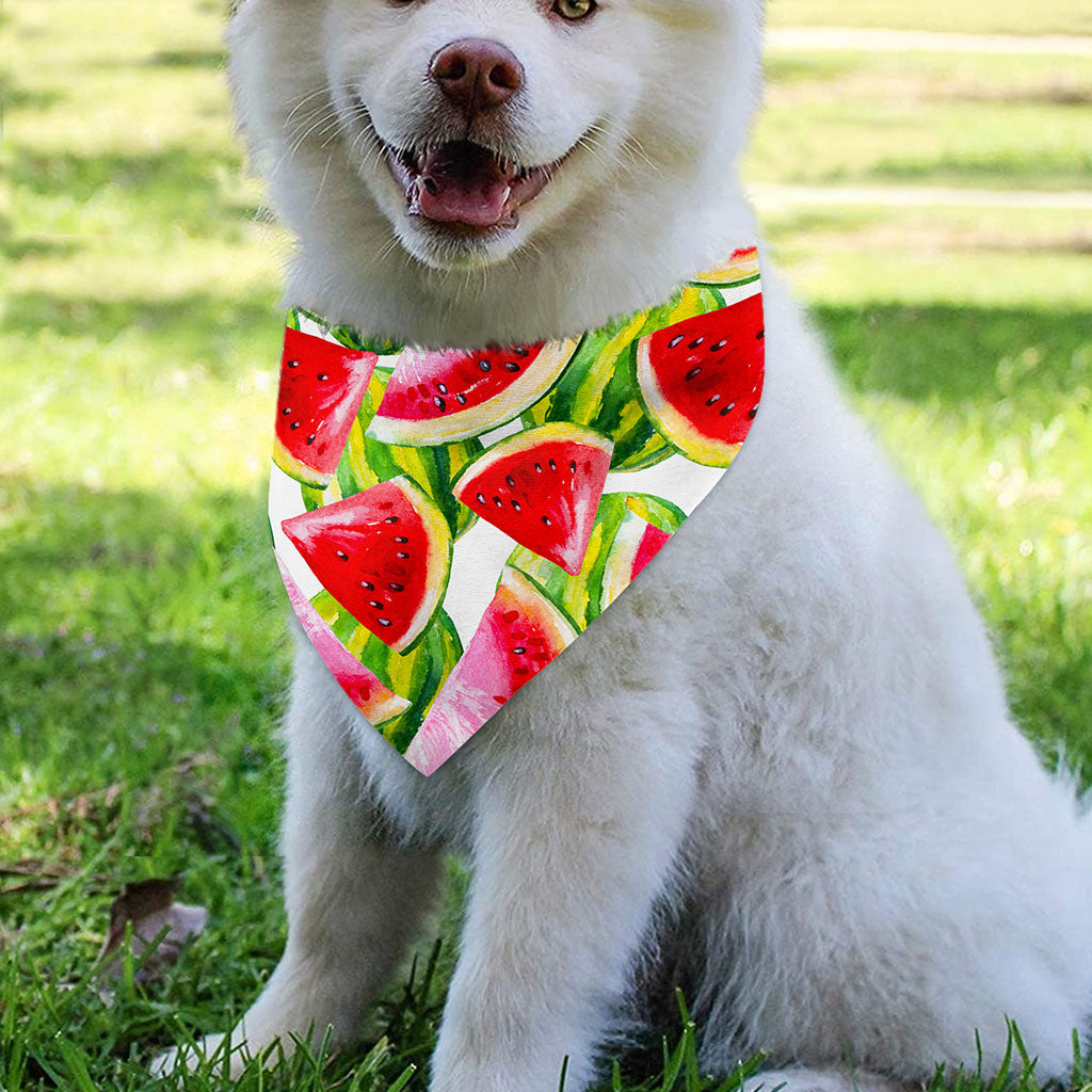 Watercolor Watermelon Pattern Print Over The Collar Dog Bandana