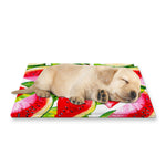Watercolor Watermelon Pattern Print Pet Cooling Mat Cover