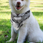 Watercolor White Bengal Tiger Print Over The Collar Dog Bandana