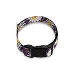 Watercolor White Daisy Pattern Print Dog Collar