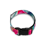 Watermelon Teal Hawaiian Pattern Print Dog Collar
