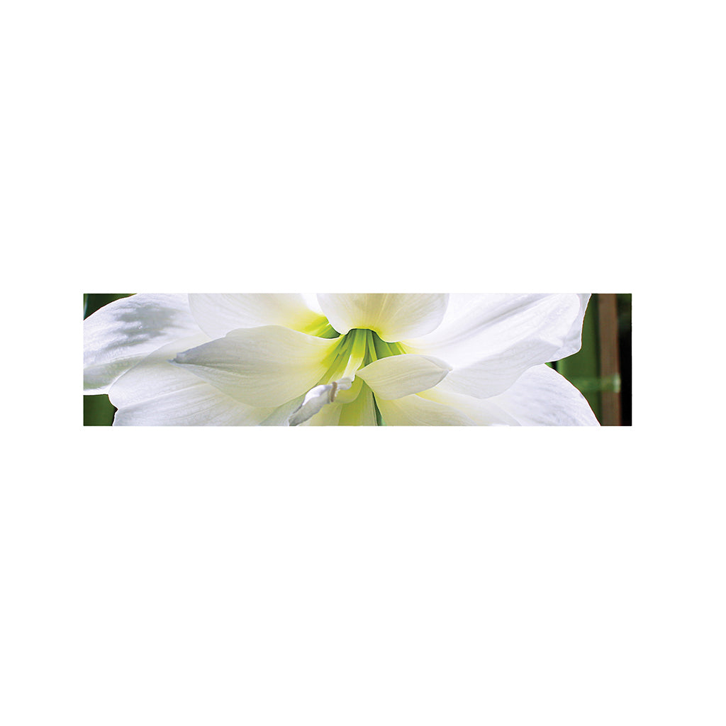 White Amaryllis Print Bed Runner
