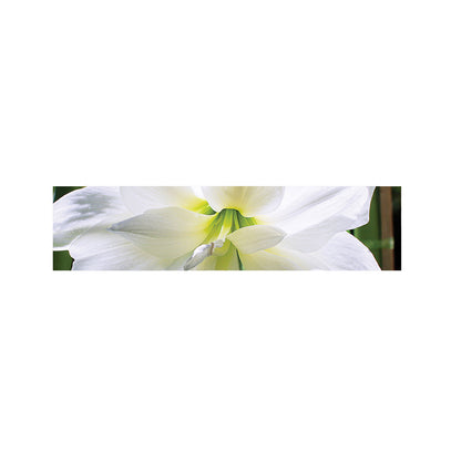 White Amaryllis Print Bed Runner