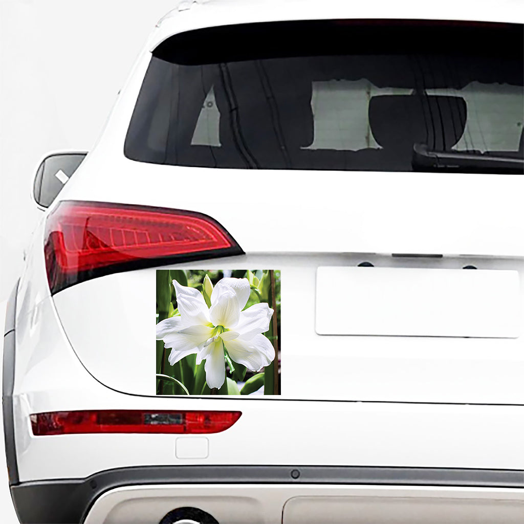 White Amaryllis Print Car Sticker