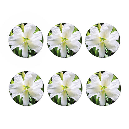 White Amaryllis Print Coaster Set