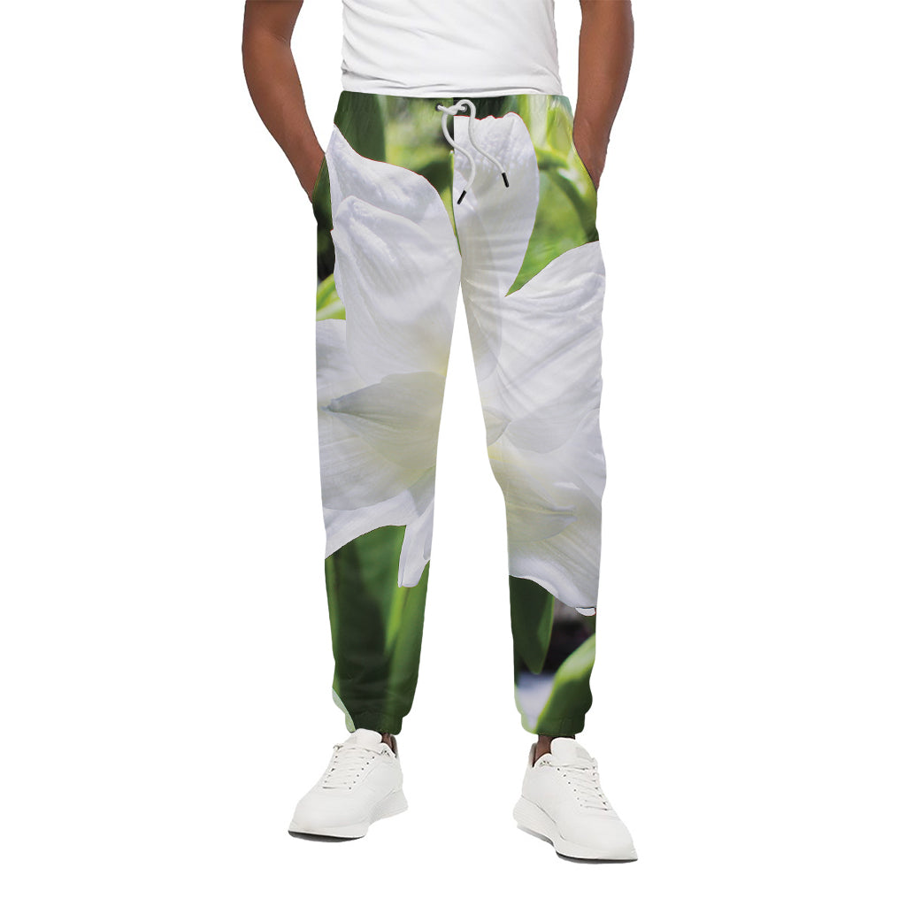 White Amaryllis Print Cotton Pants