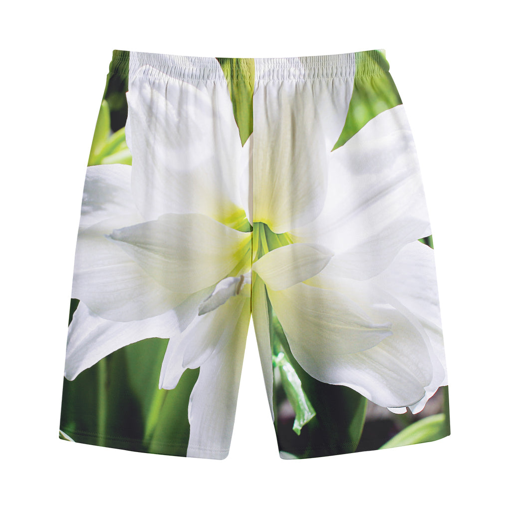 White Amaryllis Print Cotton Shorts