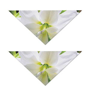 White Amaryllis Print Dog Bandana