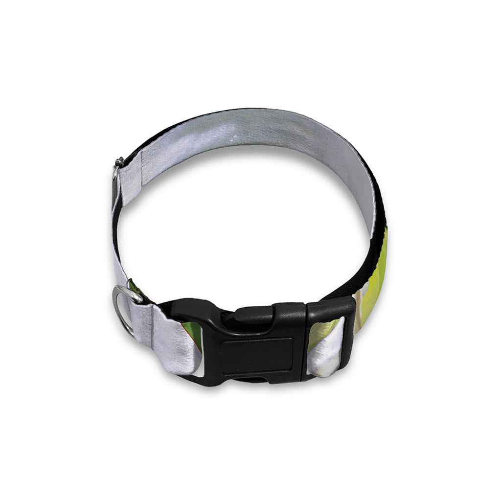 White Amaryllis Print Dog Collar