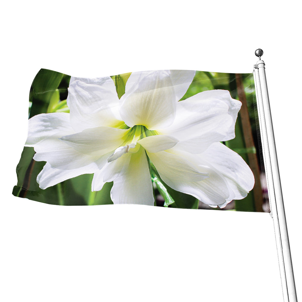White Amaryllis Print Flag