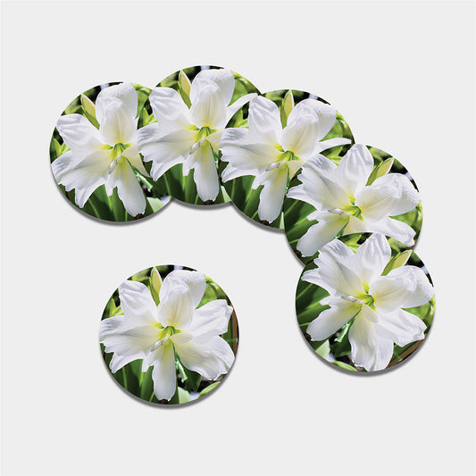 White Amaryllis Print Leather Coaster Set