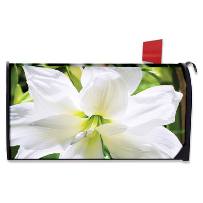 White Amaryllis Print Mailbox Cover