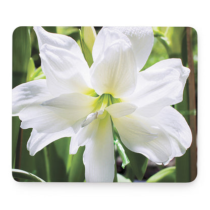 White Amaryllis Print Mouse Pad