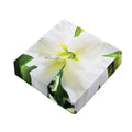 White Amaryllis Print Outdoor Seat Cushion Cover
