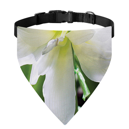 White Amaryllis Print Over The Collar Dog Bandana