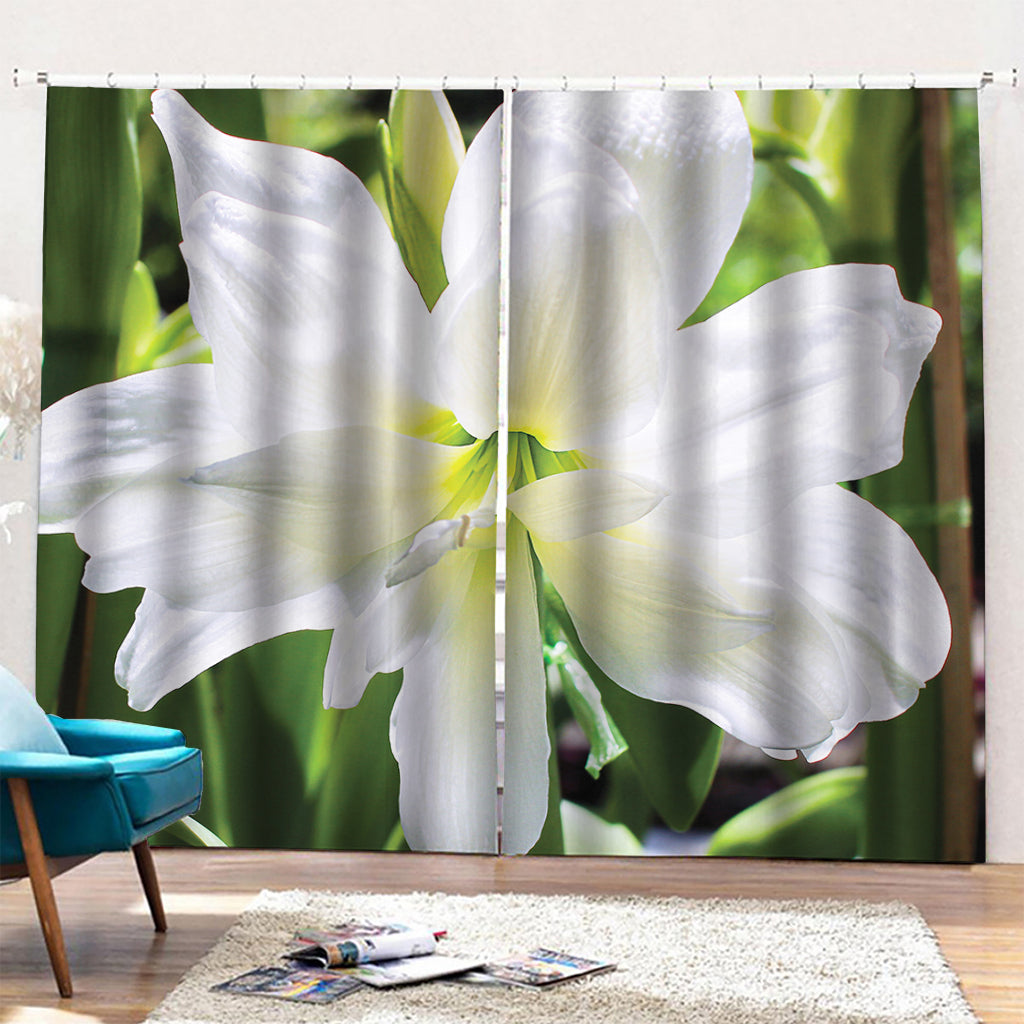 White Amaryllis Print Pencil Pleat Curtains