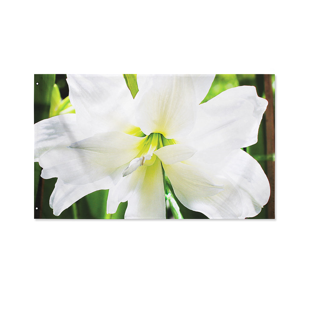 White Amaryllis Print Polyester Flag