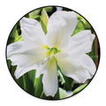 White Amaryllis Print Round Floor Mat
