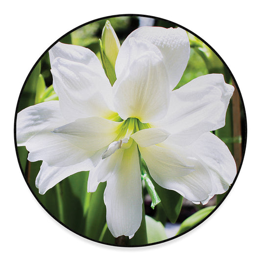 White Amaryllis Print Round Floor Mat