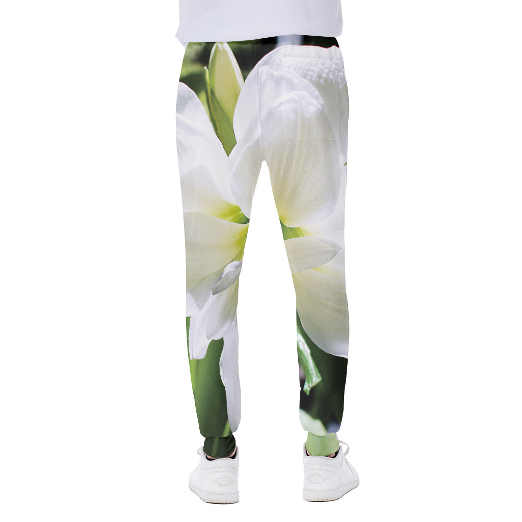 White Amaryllis Print Scuba Joggers