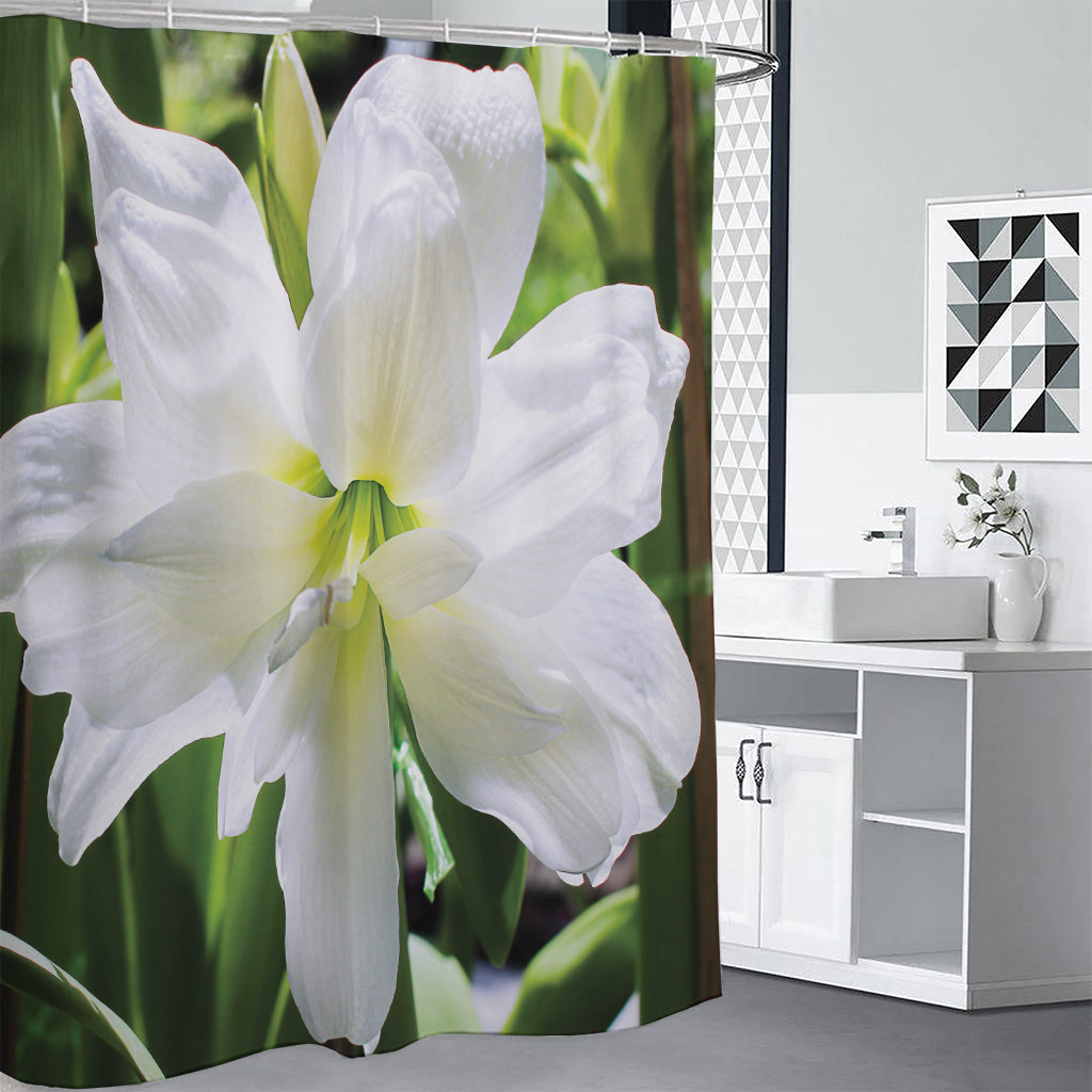 White Amaryllis Print Shower Curtain
