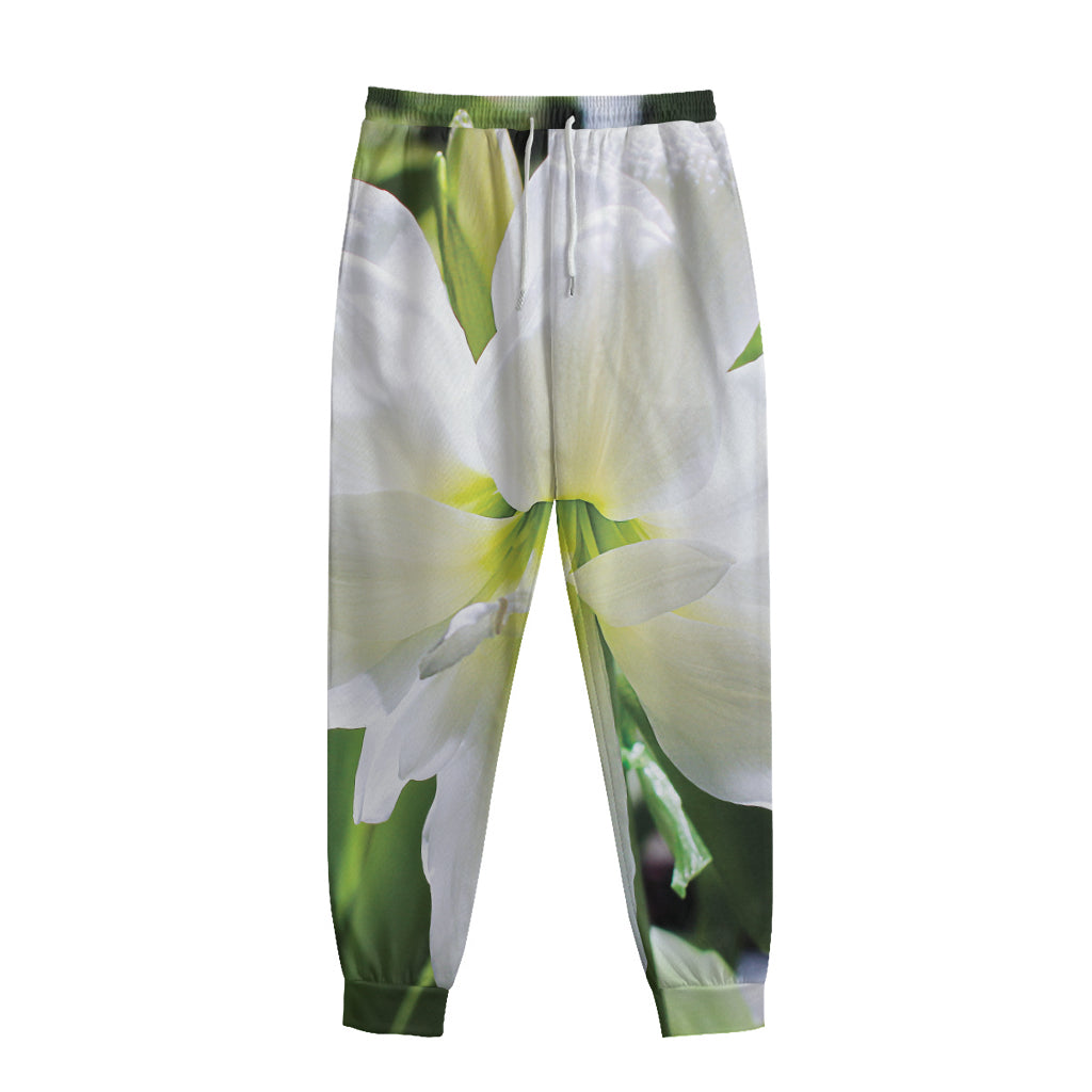 White Amaryllis Print Sweatpants