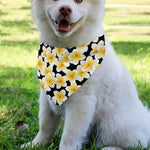 White And Black Frangipani Pattern Print Over The Collar Dog Bandana