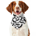 White And Black Halloween Bat Print Dog Bandana