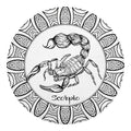 White And Black Scorpio Sign Print Round Blanket