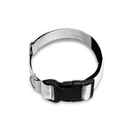 White And Black Star of David Print Dog Collar