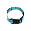 White And Blue Argyle Pattern Print Dog Collar