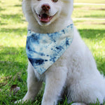 White And Blue Tie Dye Print Over The Collar Dog Bandana
