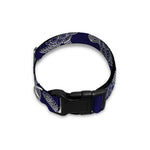 White And Blue Turtle Pattern Print Dog Collar