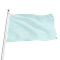White And Cyan Striped Pattern Print Flag