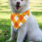 White And Orange Argyle Pattern Print Over The Collar Dog Bandana