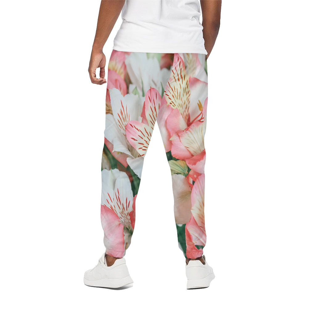 White And Pink Alstroemeria Print Cotton Pants