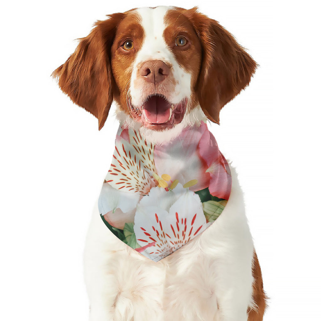 White And Pink Alstroemeria Print Dog Bandana