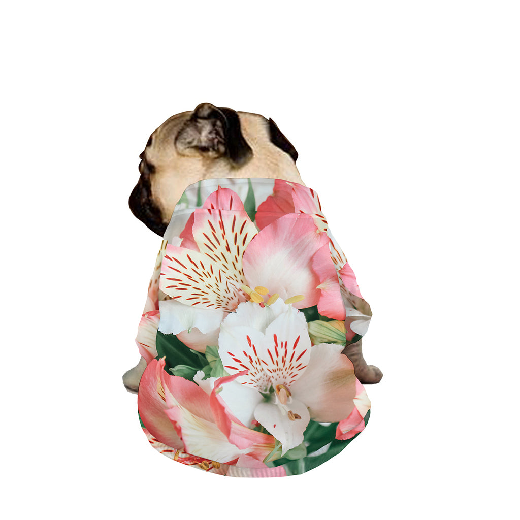White And Pink Alstroemeria Print Dog Zip Up Jacket