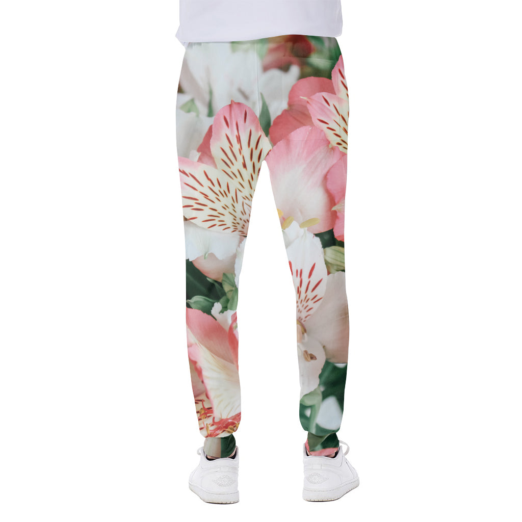 White And Pink Alstroemeria Print Scuba Joggers