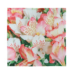 White And Pink Alstroemeria Print Silk Bandana
