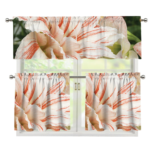 White And Pink Amaryllis Print 3 Piece Kitchen Curtains