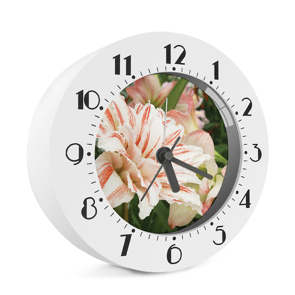 White And Pink Amaryllis Print Alarm Clock